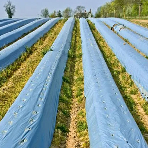 Mulch Film