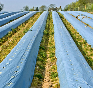 Agricultural Film